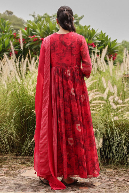 Rosewood Bloom Anarkali Set