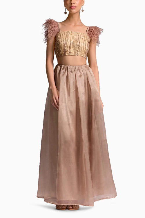 Senses Brown Top and Skirt Set