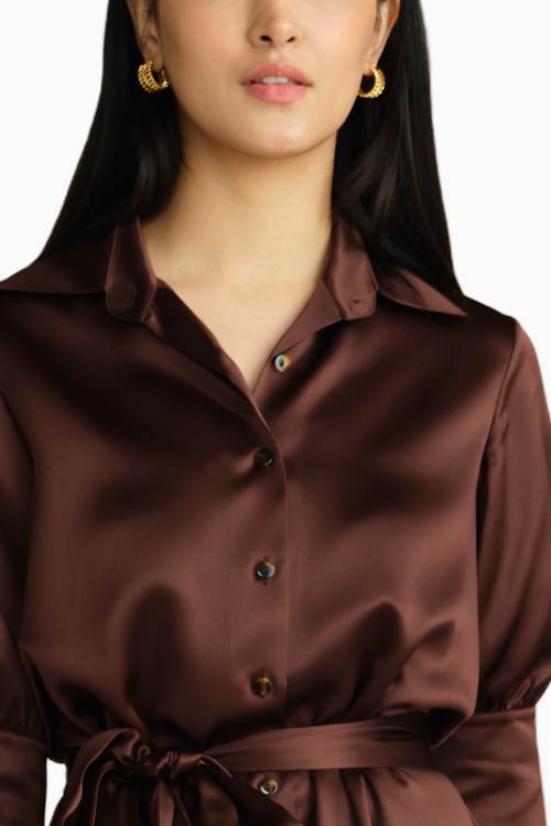 Espresso Silk Shirt Dress