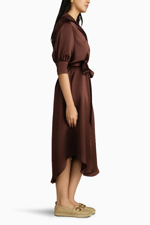 Espresso Silk Shirt Dress