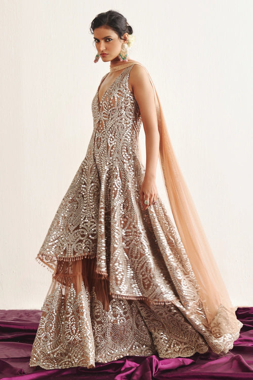 Dusty Pink Net Applique Dupatta