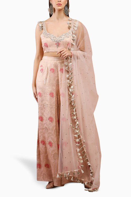 Rose Pink Embroidered Choli and Palazzo Set