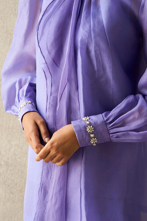 Sanyogita Amethyst Skirt Set