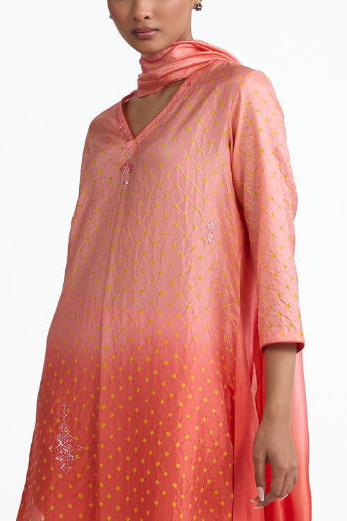 Mirror Embroidered Bandhani Suit Set