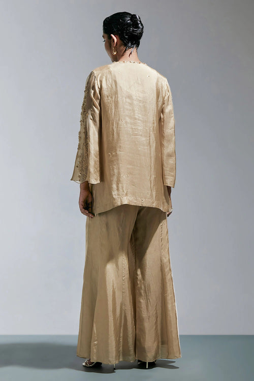 Embroidered Shell Silk Sharara Set