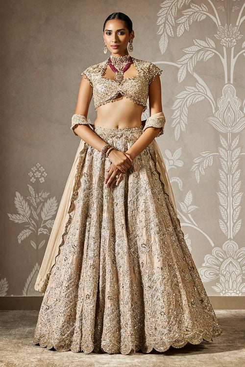 Ziva Lehenga Set