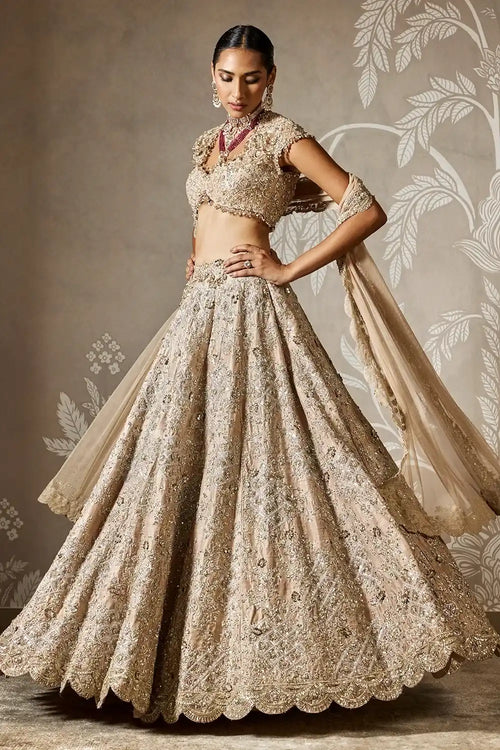 Ziva Lehenga Set