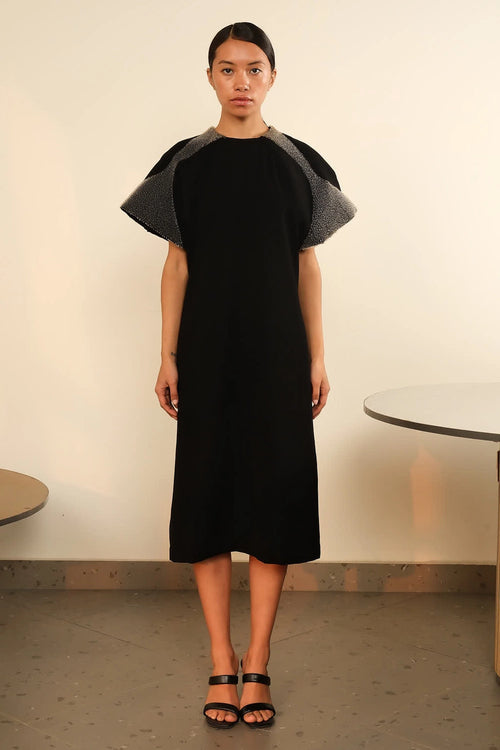 Fish Gill Black Overlay Dress