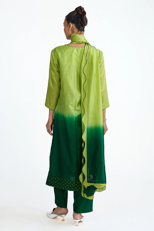 Green Mirror Embroidered Bandhani Suit Set