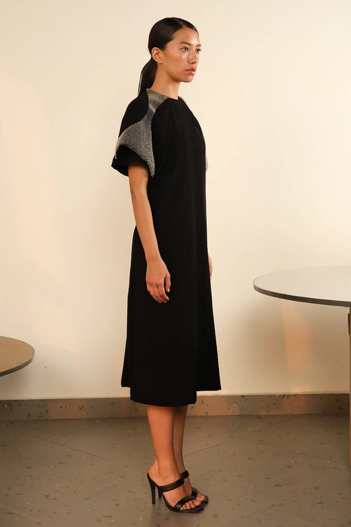 Fish Gill Black Overlay Dress
