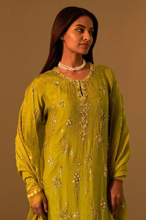 Henna Sequined Organza Border Dupatta