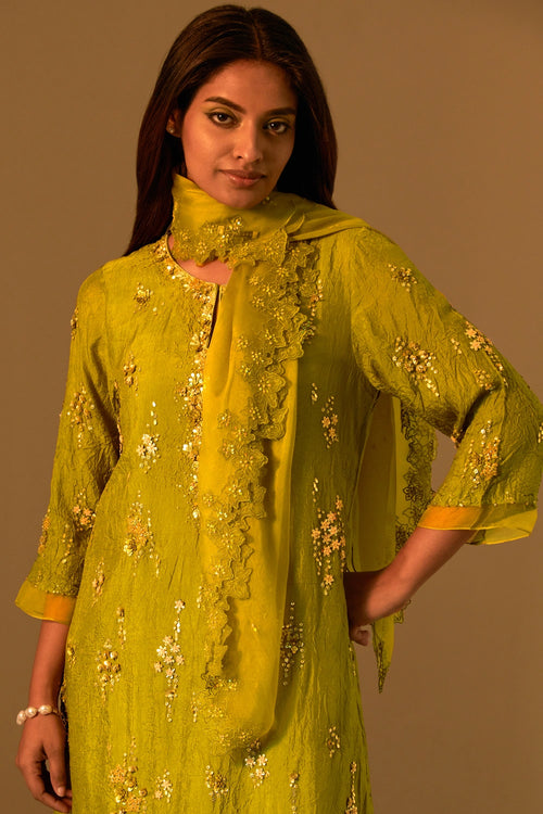 Floral Embroidered Organza Henna Dupatta