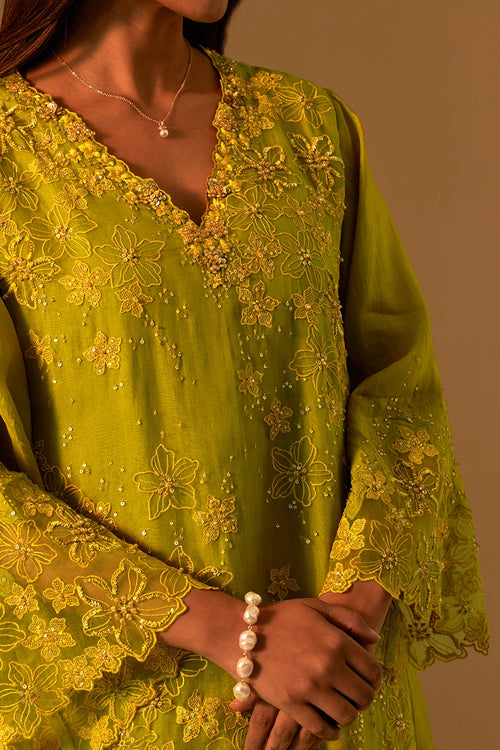 Henna Floral Threadwork Organza Kurta Set