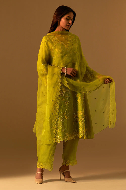 Henna Embroidered Edge Organza Dupatta