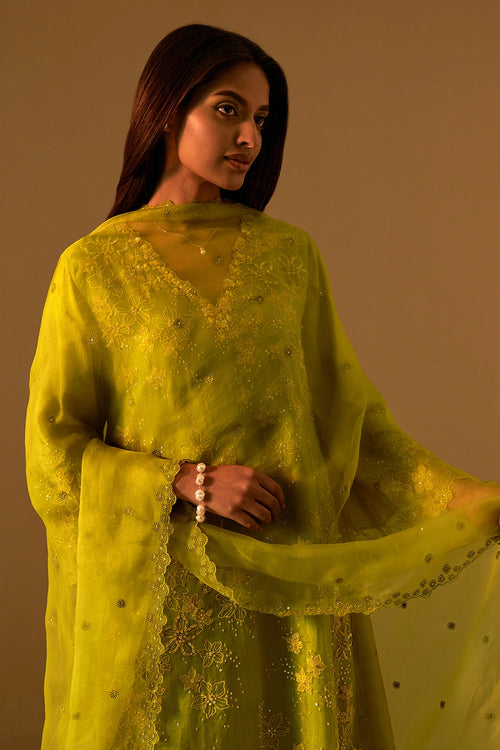 Henna Embroidered Edge Organza Dupatta