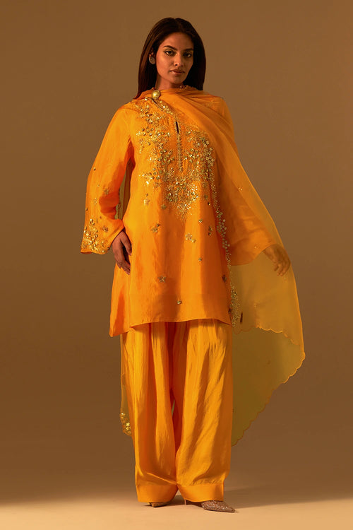 Tangerine Hand-Embroidered Organza Dupatta