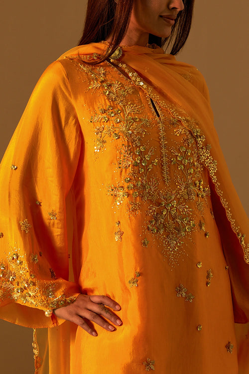Tangerine Hand-Embroidered Organza Dupatta