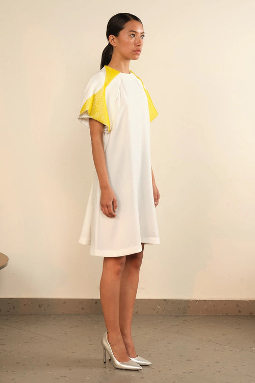 Fish Gill Overlay Dress