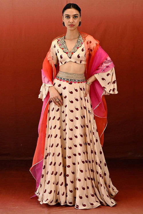 Paisley Veena Lehenga Set