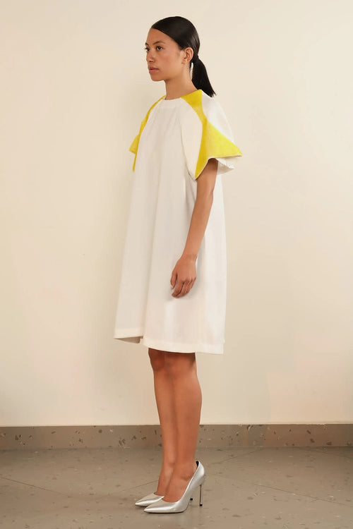Fish Gill Overlay Dress