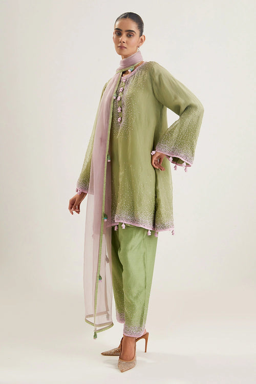 Meera Pista Green Kurta Set