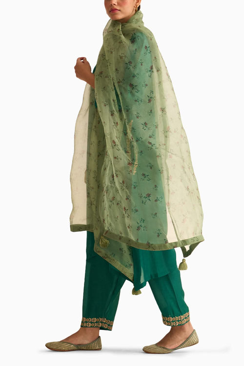 Chintz Sage Green Organza Dupatta