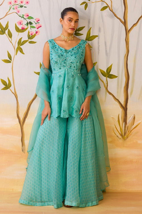 Tushita Sharara Set