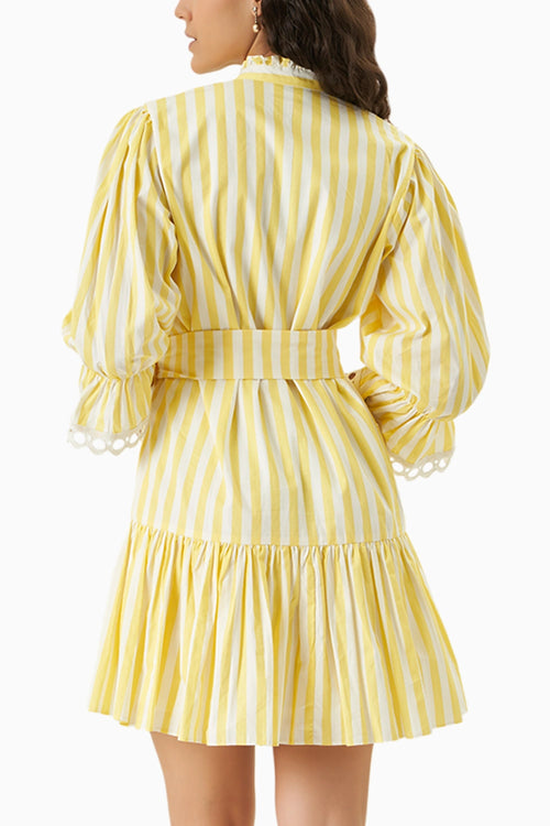 Lace and Line Yellow Dress