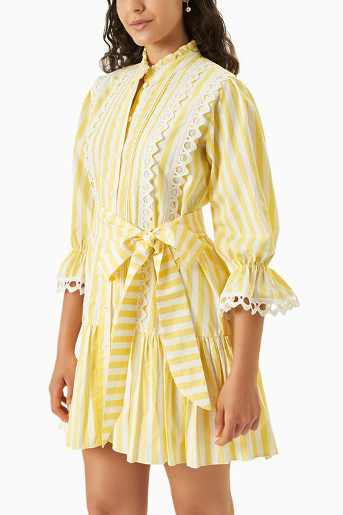Lace and Line Yellow Dress