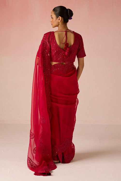 Red Bahaara Organza Silk Saree