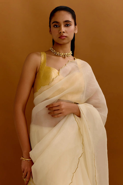 Ruhani Saree With Noorzaar Blouse