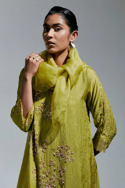 Embroidered Organza Henna Dupatta
