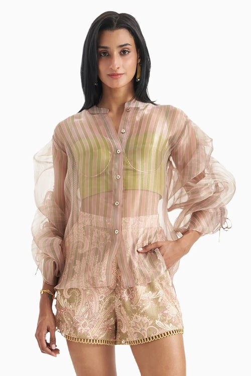 Blush Mirage Sheer Shirt
