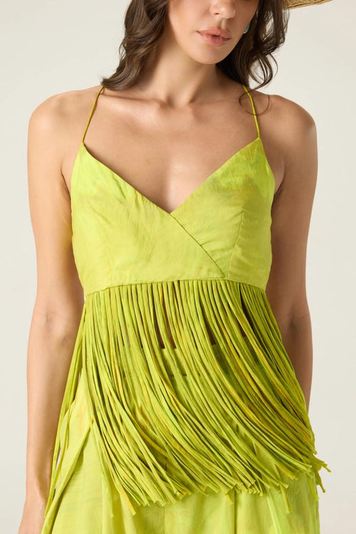 Lime Green Raven Blouse With Saylor Palazzo