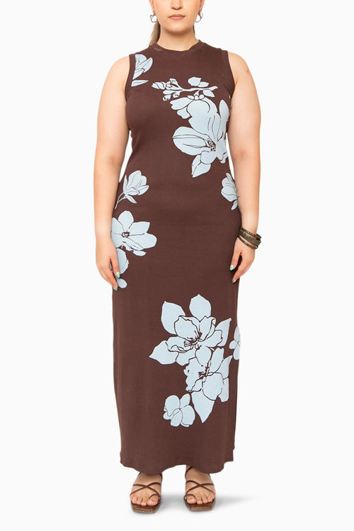 Maltida Brown Maxi Dress