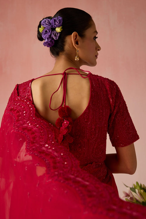 Red Bahaara Organza Silk Saree