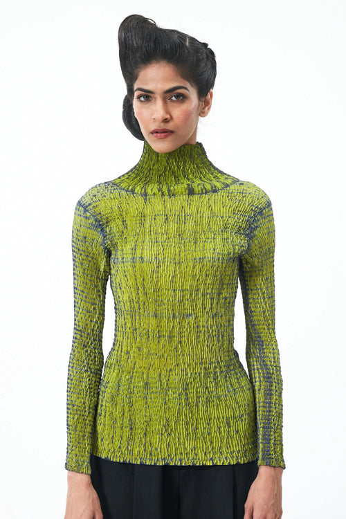 Grey Lime Dyer's Skivi