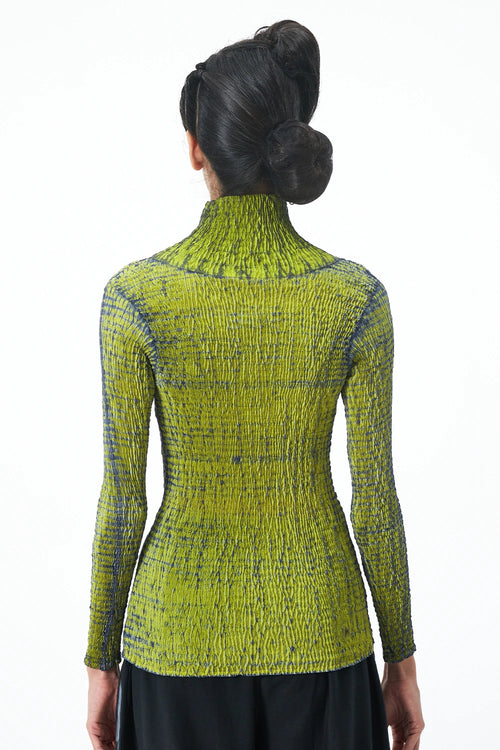 Grey Lime Dyer's Skivi