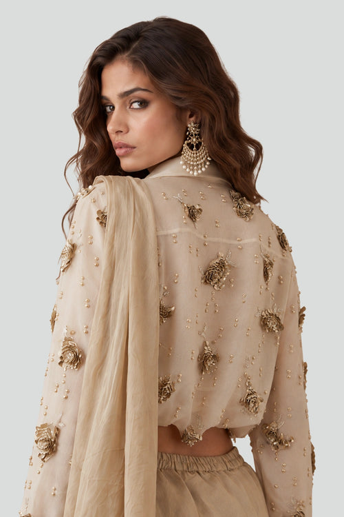 Stone Organza Studded Shirt With A Tissue Knotted Saree