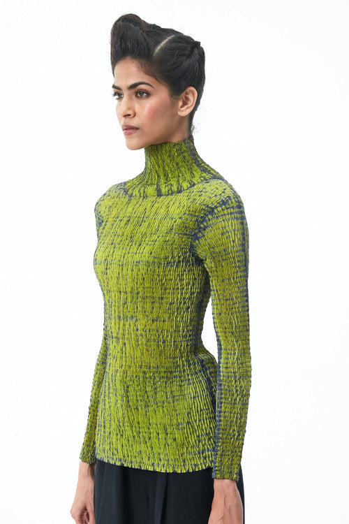 Grey Lime Dyer's Skivi