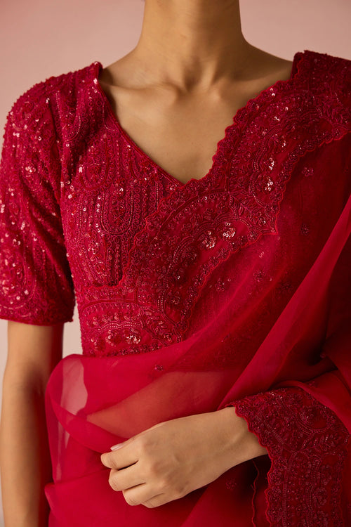 Red Bahaara Organza Silk Saree