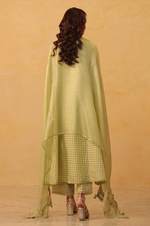 Vaayu Green Panelled Kalidar Set