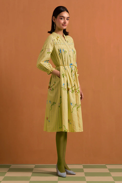 Fun Yellow Verdant Long Stripe Dress