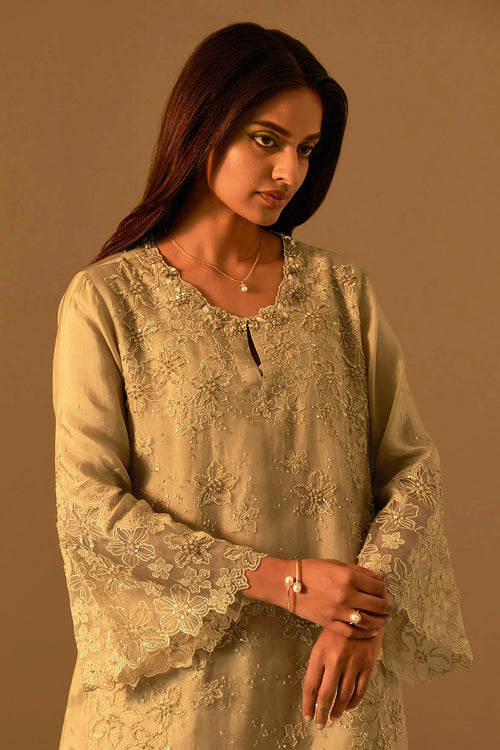 Shell Floral Threadwork Organza Sharara Set