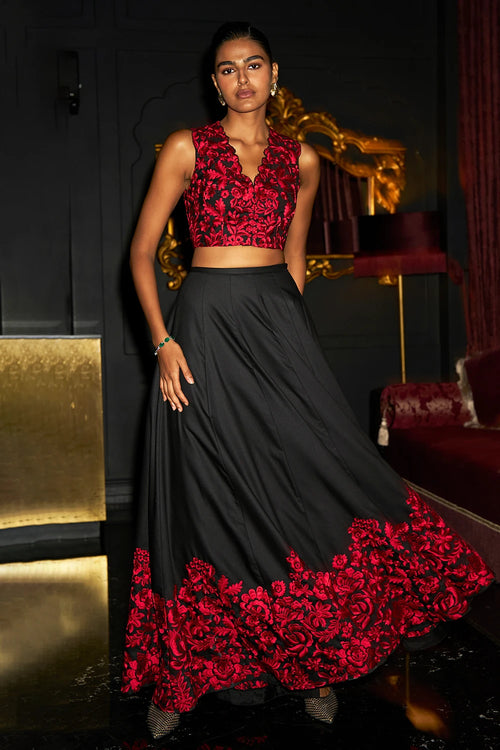Embroidered Crop Top & Flared Skirt Set