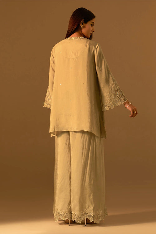 Shell Floral Threadwork Organza Sharara Set