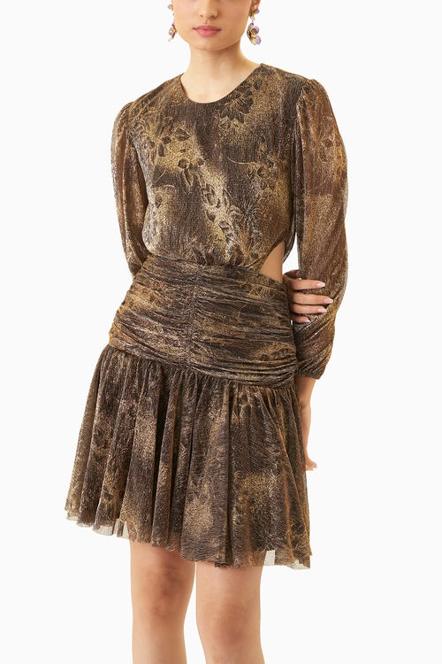 Noa Gold Dust Dress
