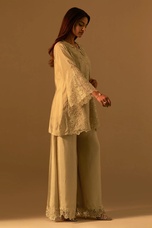 Shell Floral Threadwork Organza Sharara Set