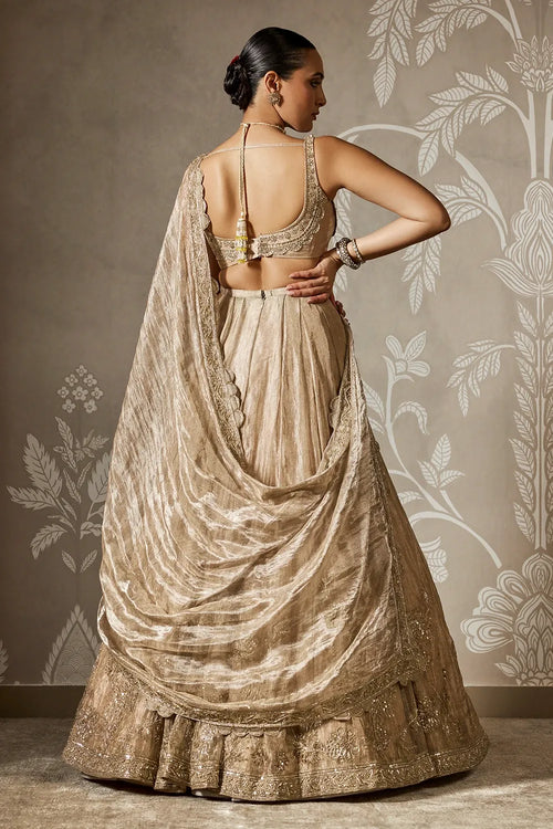 Arnika Lehenga Set