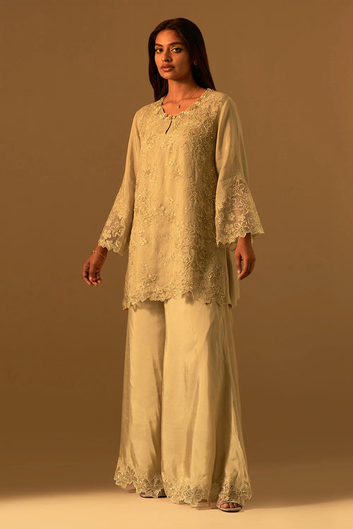 Shell Floral Threadwork Organza Sharara Set